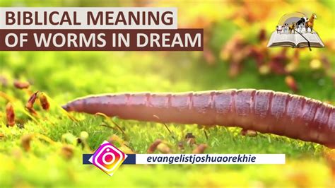 Unearthing the Subliminal Messages and Valuable Wisdom in Worm Dreams