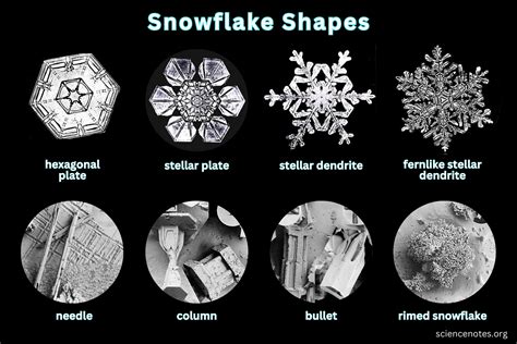 Unique Shapes: Exploring the Diversity of Snowflakes