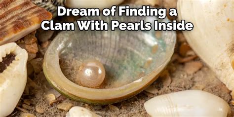 Unlocking Inner Wisdom through Dreaming of Clam Shells