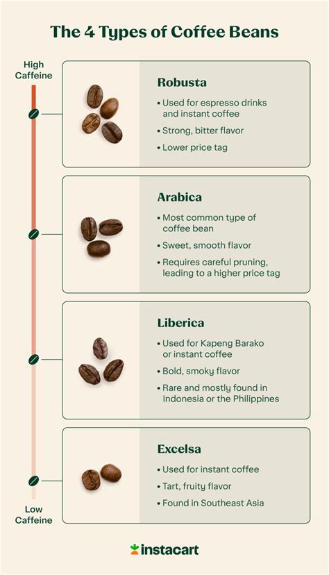 Unlocking the Flavors: Exploring Different Coffee Bean Varieties