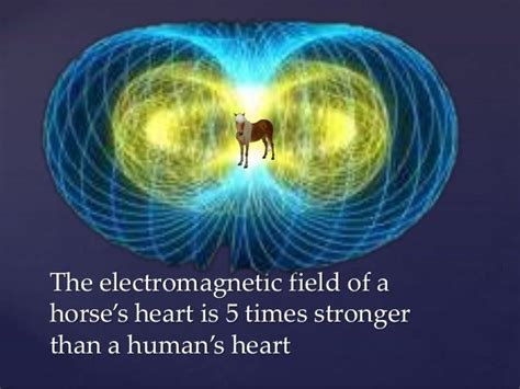 Unlocking the Magic: The Magnetic Connection Between Human and Horse