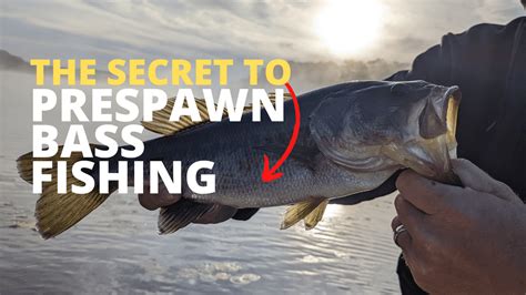 Unlocking the Secrets of Bass Fishing: Expert Advice and Proven Techniques