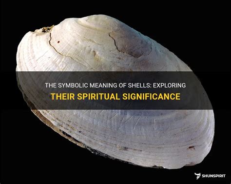 Unlocking the Spiritual Significance of Ivory Shells