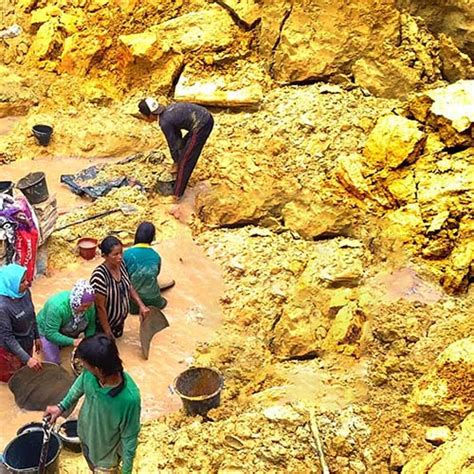 Unraveling the Enigma of Gold Extraction