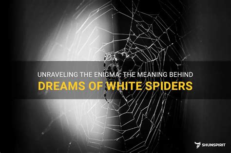 Unraveling the Enigma of Spiders in Dream Interpretation