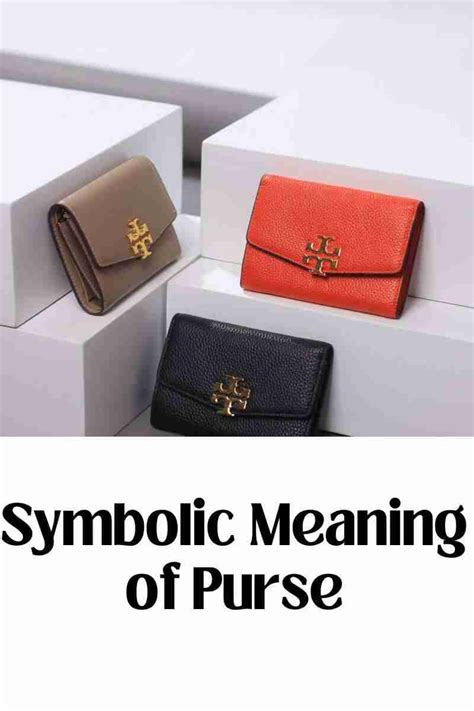 Unraveling the Enigmatic Symbolism of Purse Breaching Fantasies
