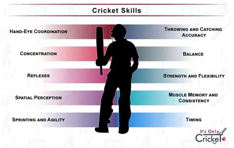 Unraveling the Fundamentals of Cricket: An Introduction for Novices