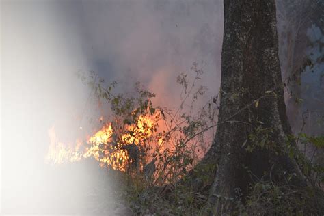 Unraveling the Influence of Climate Change on Fires Ignited by Electrical Discharges