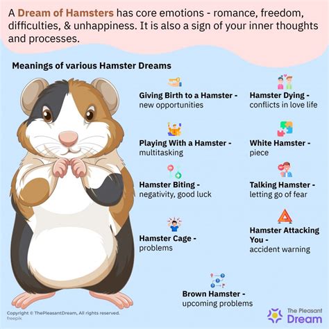 Unraveling the Secrets: Exploring Emotional Healing through Interpreting Hamster Dreams