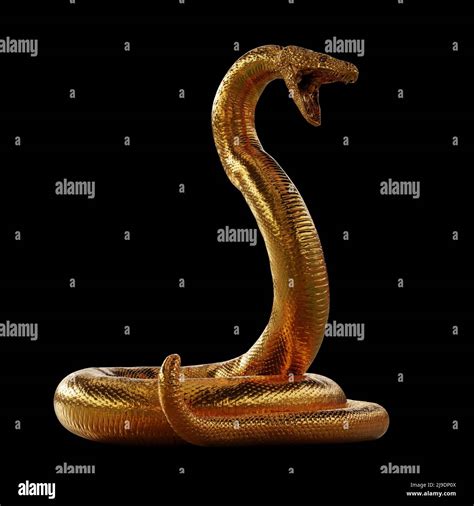 Unraveling the Significance of the Golden Serpent