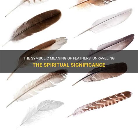 Unraveling the Symbolic Significance of Feather Dreams: A Window into the Depths of the Unconscious Mind