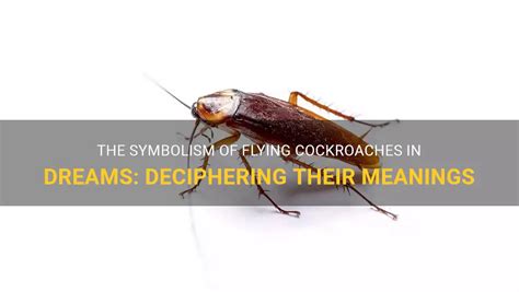 Unraveling the Symbolism: Deciphering the Significance of Consuming Cockroaches in Dreams