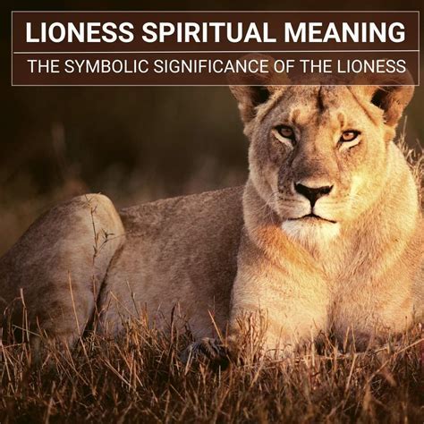 Unraveling the Symbolism: Exploring the Meaning of Dreaming about a Lioness