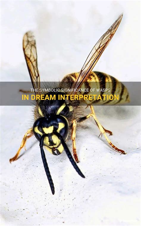 Unraveling the Symbolism of Wasps in Dreams