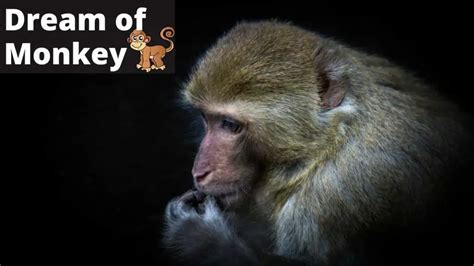 Untangling the Complexity of Emotions Elicited by the Fantastical Reveries of an Enraged Primate