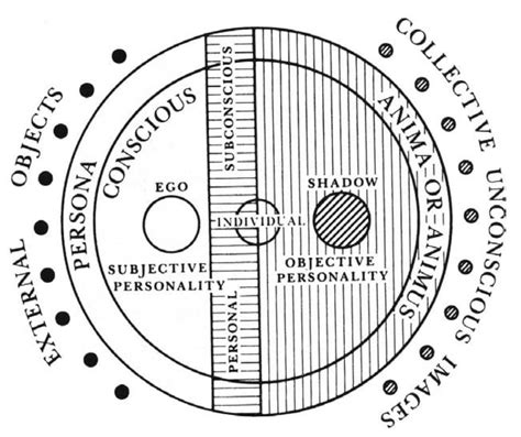 Unveiling the Depth: Dogs and Jungian Psychology