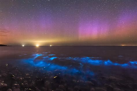 Unveiling the Diverse Origins of Nocturnal Illumination: Exploring Bioluminescence and Aurora