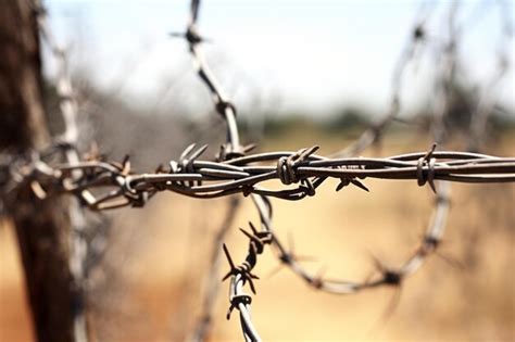 Unveiling the Enigmatic Significance Behind Dreaming of Barb Wire