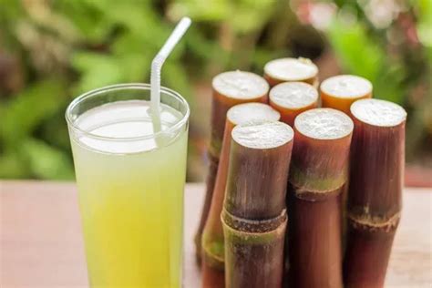 Unveiling the Health Advantages of Sugarcane: Beyond a Guilty Pleasure