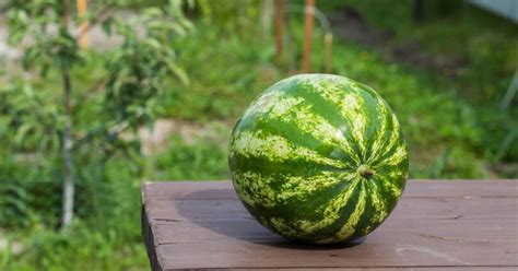 Unveiling the Health Benefits of Watermelons