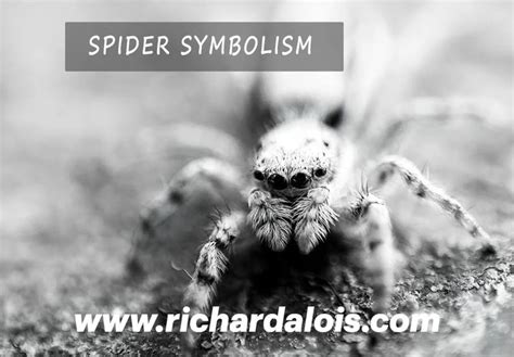 Unveiling the Hidden Meanings: The Silver Spider as a Powerful Archetype