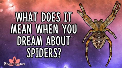 Unveiling the Hidden Meanings and Deep-Rooted Fears: Decoding Spider Dreams