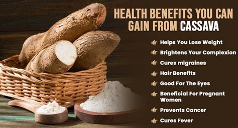 Unveiling the Historical Background and Undeniable Health Advantages of Cassava