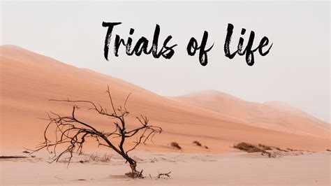 Unveiling the Importance of Trials in Dreams