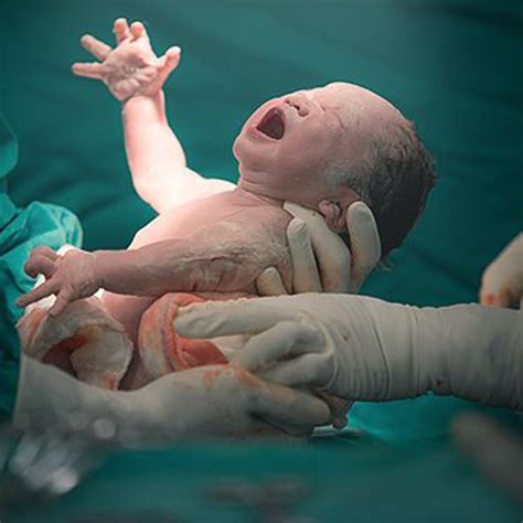 Unveiling the Mystery: Exploring the Profound Significance of a Newborn Emerging into the World
