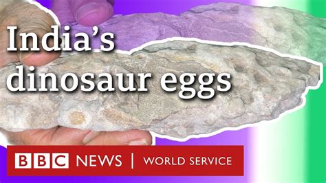 Unveiling the Mystery: How Dinosaur Eggs Were Formed