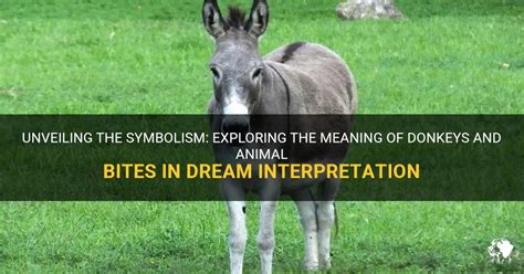 Unveiling the Mystery: The Symbolism of Donkeys in Dreams