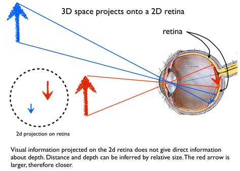 Unveiling the Mystery of Hollowed Eyes: An In-Depth Exploration into their Significance and Interpretations