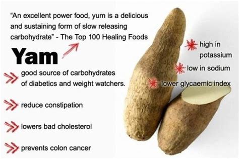 Unveiling the Nutritional Powerhouse: Learn about the Health Benefits of Yam