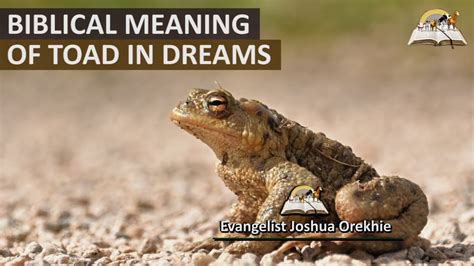Unveiling the Personal Significance of Dreaming About Nourishing a Toad