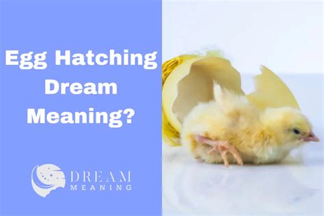 Unveiling the Psychological Significance of Dreams featuring Hatching Eggs