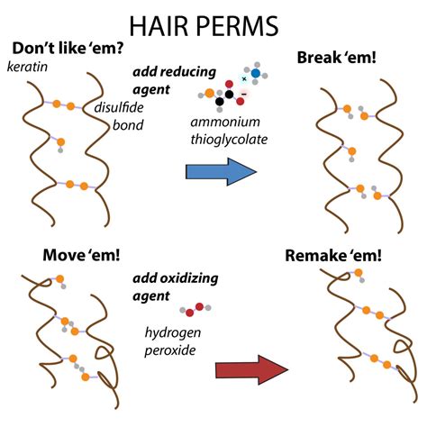 Unveiling the Science Behind Fungal Development in Hair