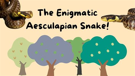 Unveiling the Secrets of the Enigmatic Cyclopean Serpent Reveries