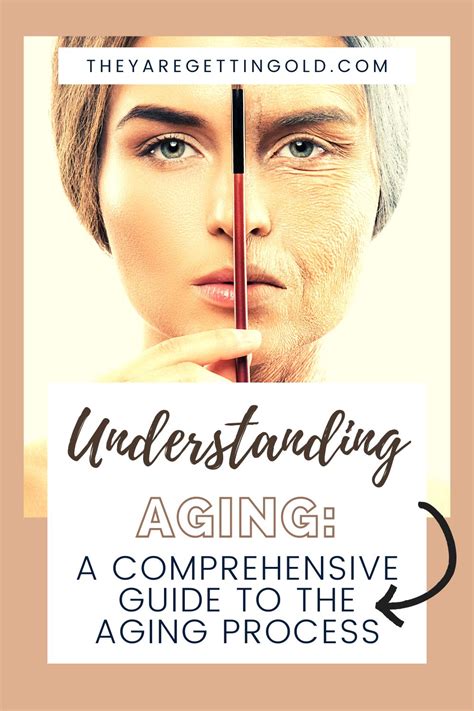 Unveiling the Significance Behind Aging in Reveries