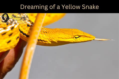 Unveiling the Subconscious Messages of Serpent Dreams