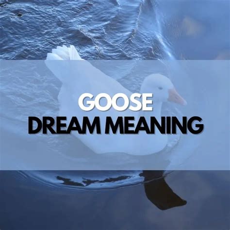 Unveiling the Symbolic Meanings of a Golden Goose in Dreams