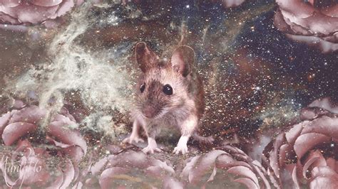 Unveiling the Symbolic Significance of Rodents in the Realm of Dreams