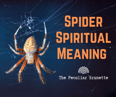 Unveiling the Symbolic Threads: Diverse Interpretations of Spider Dreams