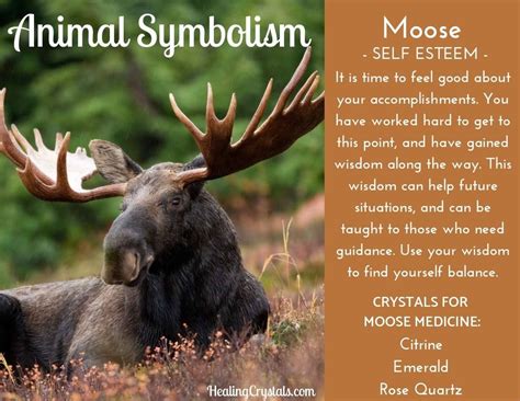 Unveiling the Symbolism: Moose in Dreams