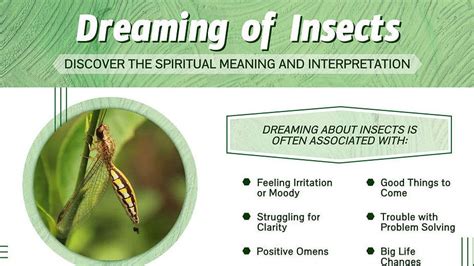 Unveiling the Symbolism of Insect Dreams