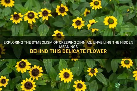 Unveiling the Symbolism of the Creeping Sensation