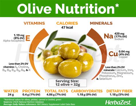 Unveiling the Treasures of the Olive Leaf's Nutritional Profile