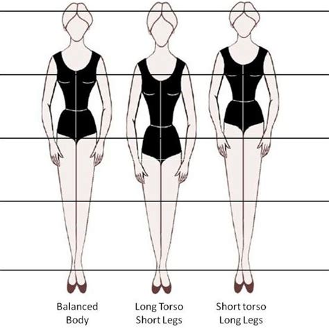 Vertical Dimension: Insight into Katalin's Height and Body Proportions