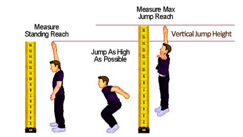 Vertical Measurement: How High does She Stand?