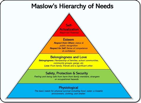 Wealth and Assets of the Esteemed Personality