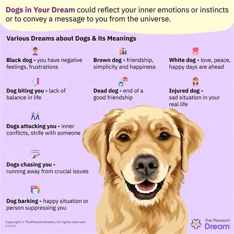 What Significance Does a Dog Accident Hold in Your Dreams?